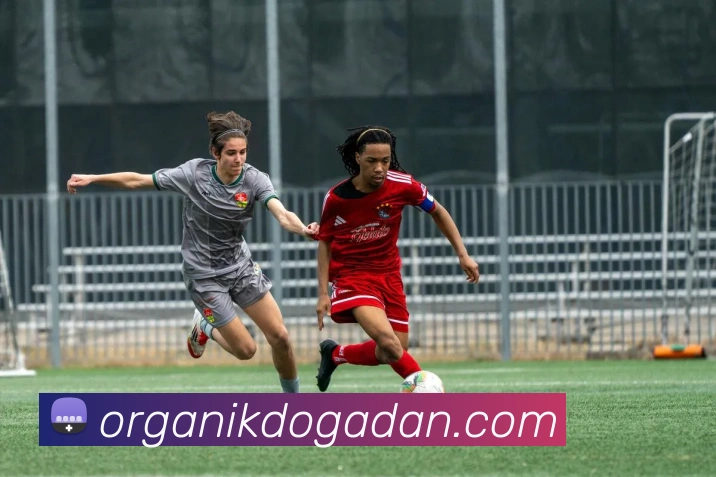 体育直播服务